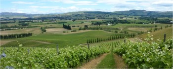 Wine from North Canterbury