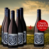 5+1 Set SHEILD Pinot Noir 2023 - 1 Flasche GRATIS