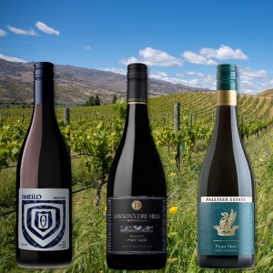 3 Regions Pinot Noir Case