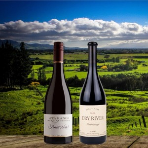 Martinborough Pinot Noir Magic Duo