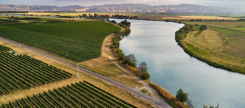 Wein aus Marlborough