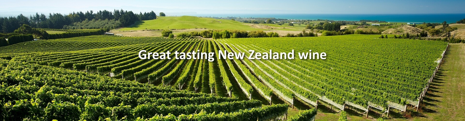 Wines from New Zealand