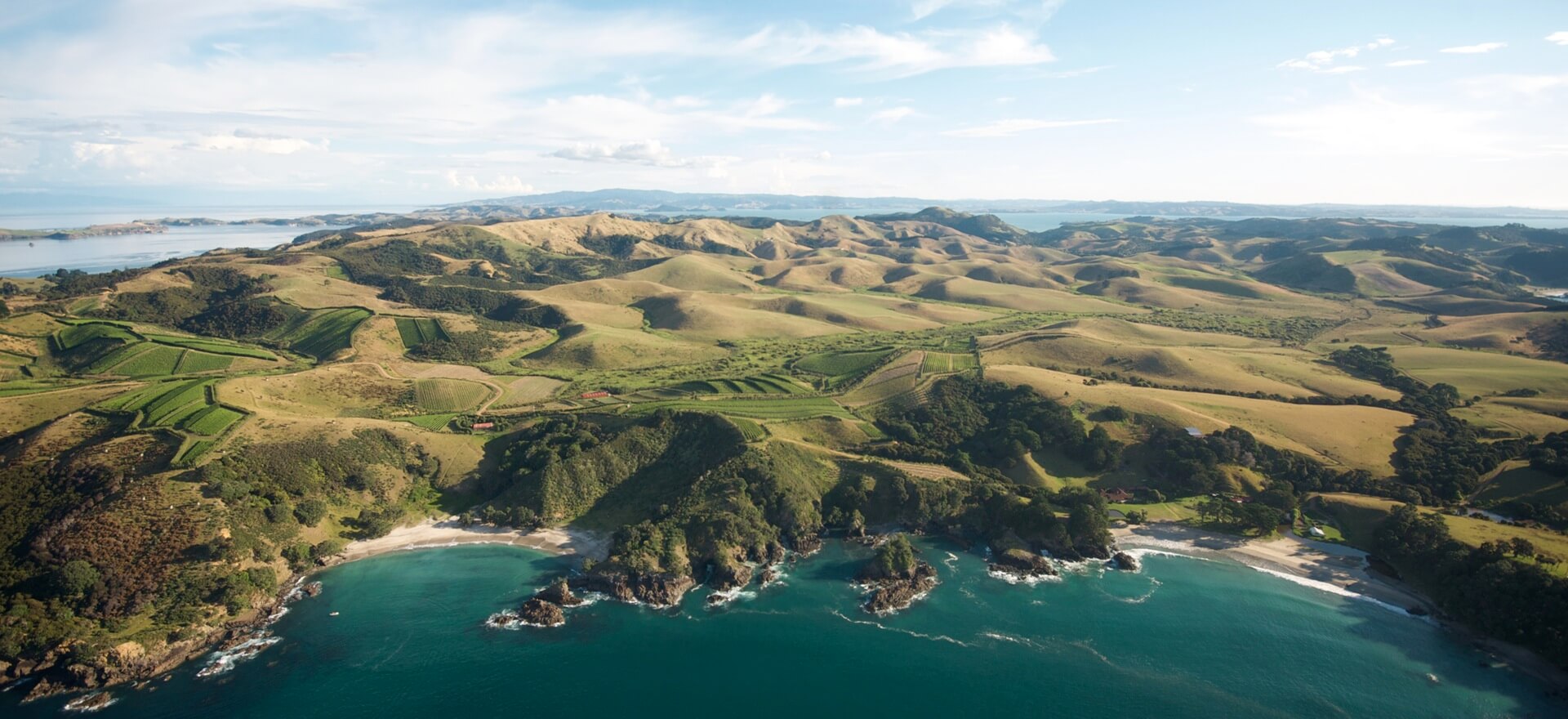 Wein von Waiheke Island