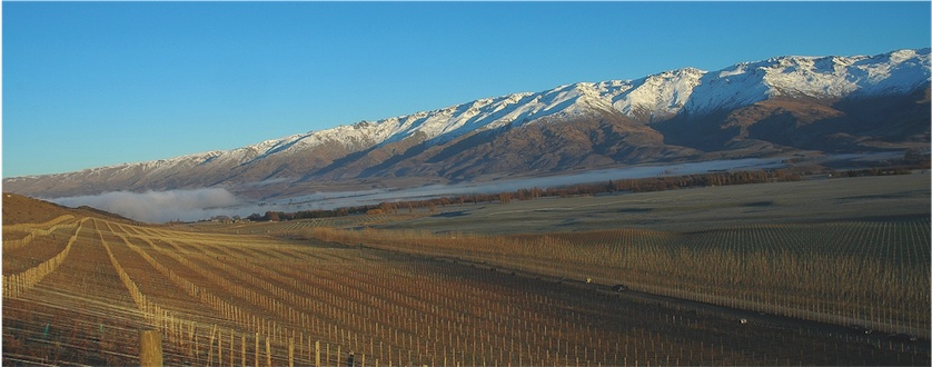 Wein nach Weinregionen