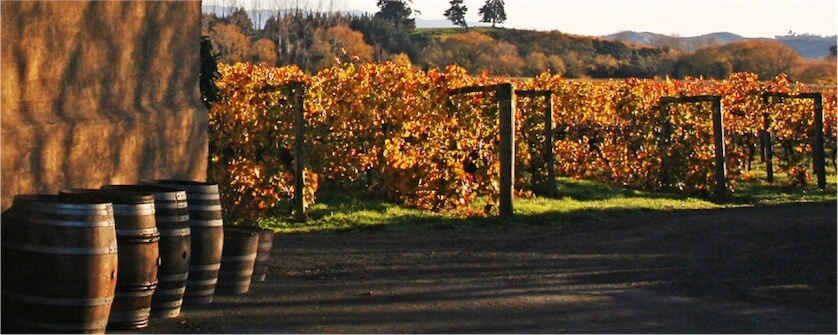 Wine from Nelson